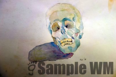 Skull
2017
watercolor
30 x 42 cm.
Keywords: skull