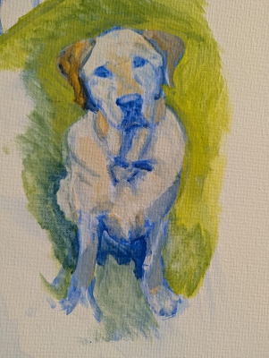 Bodie
2026 (work in progress)
acrylic on canvas

Keywords: custom pet portraits